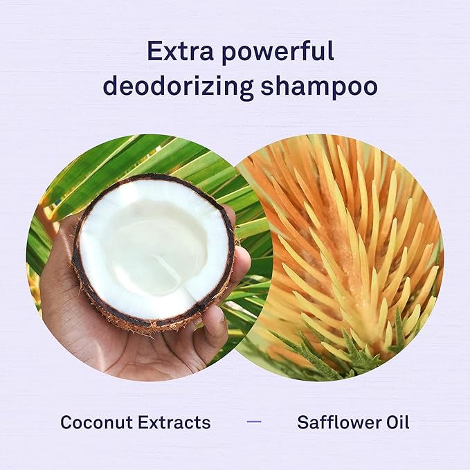 Petpost | Ferret Shampoo. Deodorizing & Moisturizing Formula for Ferrets and Small Animals. Supports Healthy Skin & Coat. 8 oz