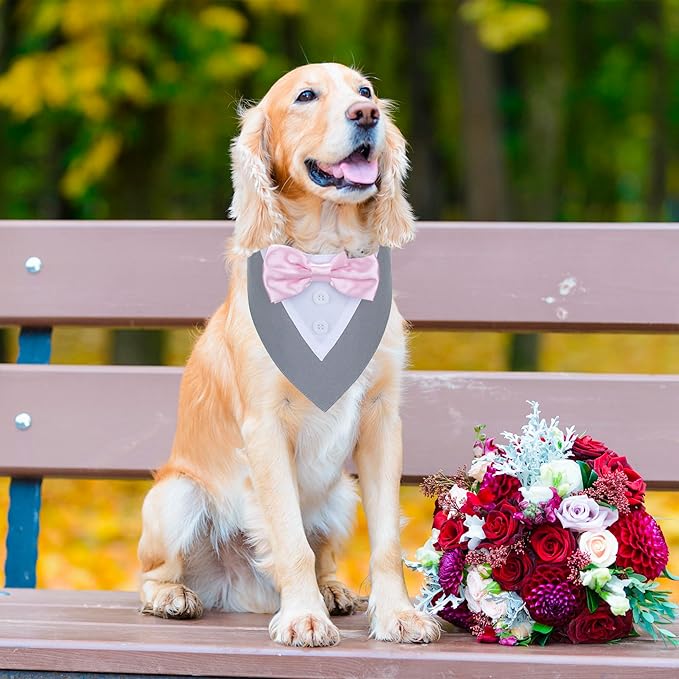 ADOGGYGO Formal Dog Tuxedo Wedding Pet Bandana Collar with Bowtie, Adjustable Birthday Wedding Formal Tux Costumes for Large Dogs Pets (L, Grey)