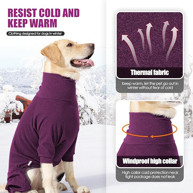 Warm Fleece Dog Sweater with Turtleneck & Leash Hole, Long Sleeve Winter Pullover Jumpsuit for Small Dogs – Cold Weather Indoor/Outdoor Apparel (Wine red, X-Small)