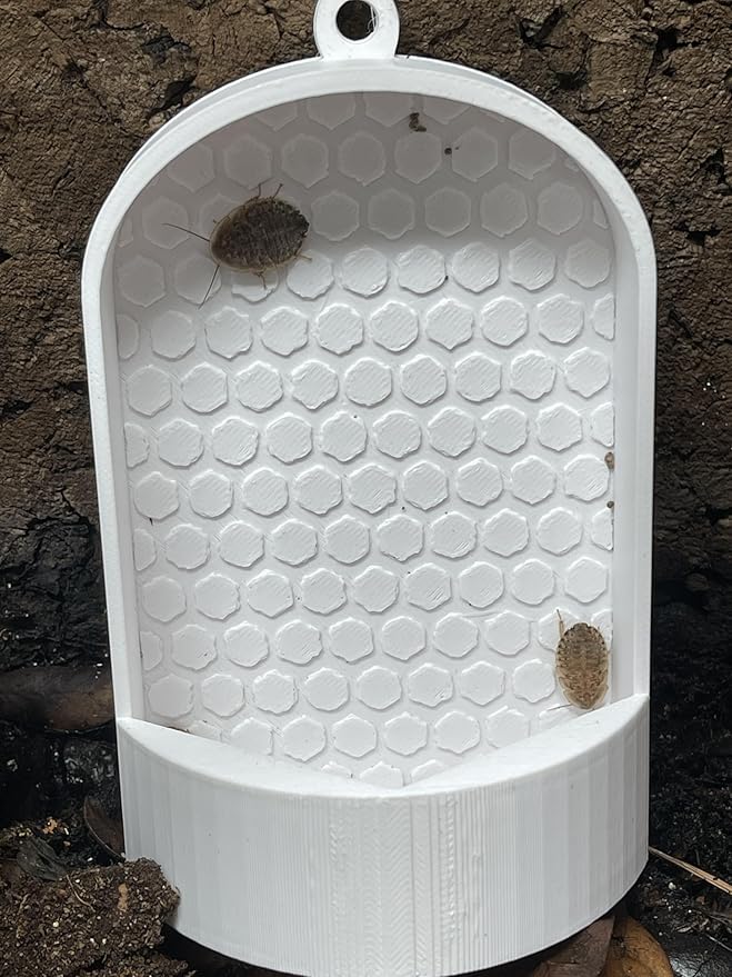 Textured Reptile Feeder Dish – Escape-Insect Feeding Bowl for Lizards & Frogs – 5" Tall White Enrichment Cup for Dubia, Crickets, Worms