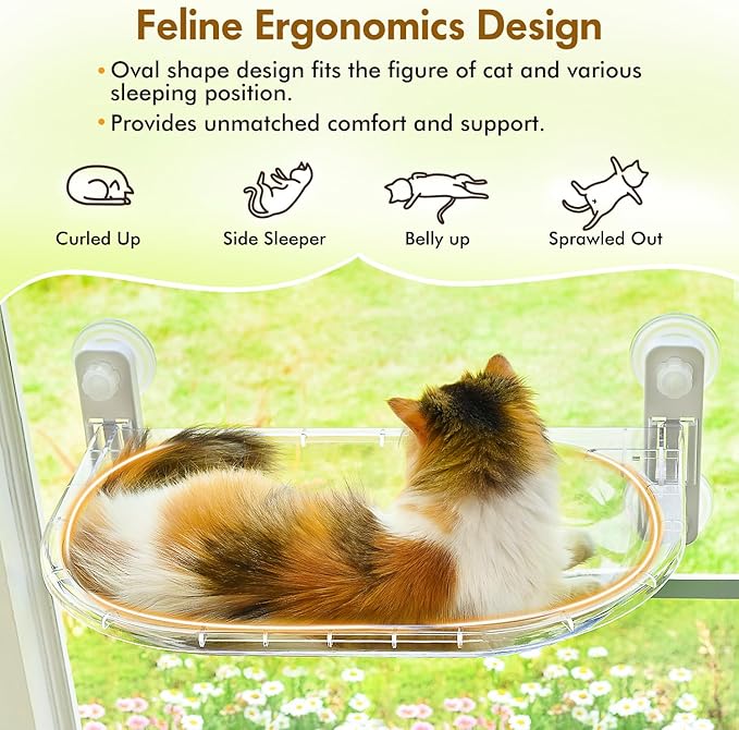 AMOSIJOY Transparent Cat Window Perch, Easy to Install & Clean Cat Hammock with 4 Enlarged Suction Cups for Large Cats, Panoramic Space Capsule Window Seat with Cozy Furry Mat