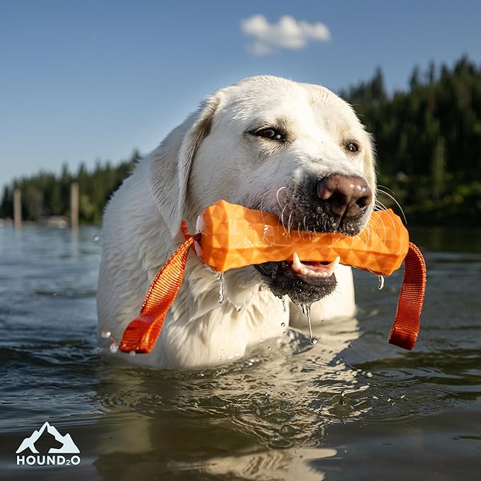 Playology Hound2O Dog Toys | Floating Tug Stick for Tug of War | Orange Outdoor Toy - Easy to Clean and Made from Non Toxic Materials