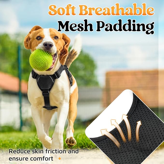 rabbitgoo Escape Proof Dog Harness, Soft Padded Full Body Pet Harness, Reflective Adjustable No Pull Vest with Lift Handle and Leash Clip for Large Dogs Walking Hiking Training, S, Black