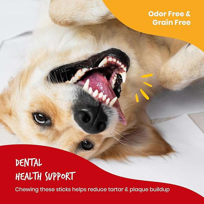 Beefeaters 12in Bully Sticks 6ct – All-Natural, Highly Digestible, Promotes Dental Health, No Additives or Preservatives, Ideal for Training & All Dog Sizes