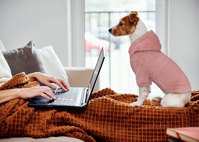 Fuzzy Dog Sweaters for Small Dogs Dog Hoodie Pet Clothes Warm Soft Cozy Coats Hooded Sweatshirt Fleece Small Pet Hoodies Sweater(Pink-XS)