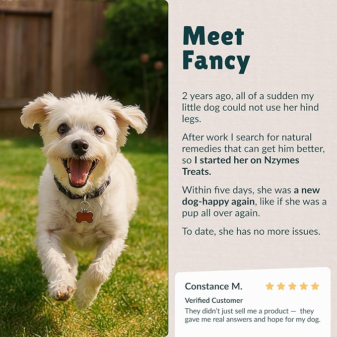 Nzymes® Antioxidant Tiny Treats - for Dogs Joints, HIPS, Paralysis, Skin, Coat, Hair Loss, Aging, Digestion, Seizures - Dog Treats for Small Dogs - 180 Treats - Made in The USA