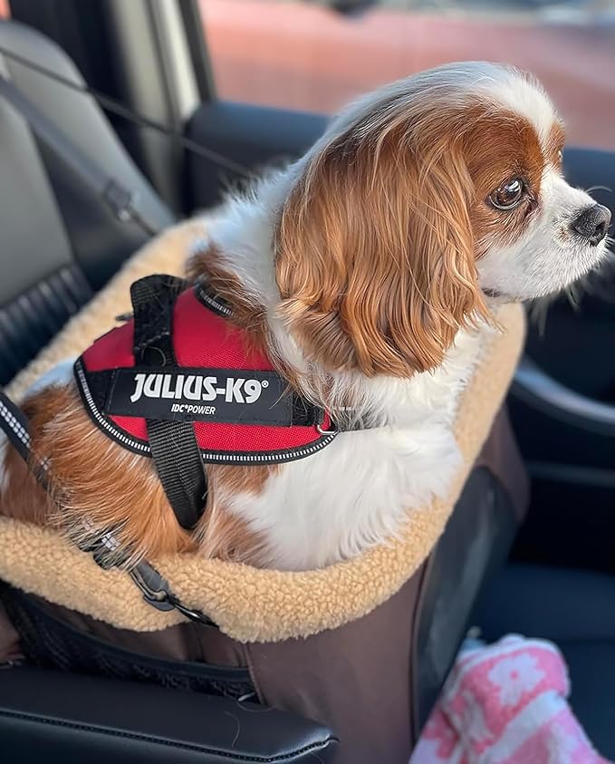 ROODO Deluxe Dog Booster Seat with Height-Adjustable Foldable Metal Frame and Safety Leash,Portable Pet Car Seat for Under 20lb Puppy Cats with Plush Thick Cushion Mesh Window Pockets(Khaki)