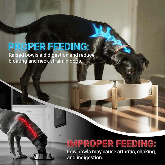 Elevated Dog Bowl & Cat Dish 27oz – Raised Ceramic Pet Food and Water Bowls with Bamboo Stand, Feeding Station for Small & Medium Pets, Prevents Neck Strain – Durable, Premium Quality by Homish