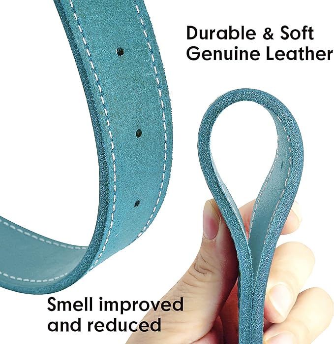 Didog Genuine Leather Dog Collars with Engraved Nameplate, Personalized Soft Leather Dog Collar with Custom ID Tag, Brown/Green/Red for Medium Large Dogs (L,Blue)