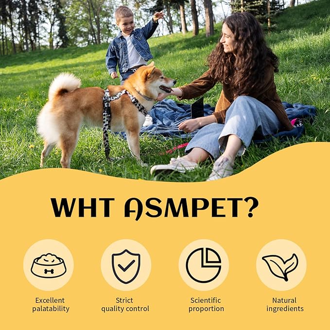 ASMPET Dog Treats, Chicken Chips Grain Free Chewy Dog Snacks for Training Rewards