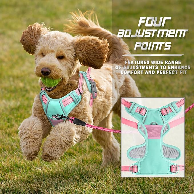 BARKBAY No Pull Dog Harness Front Clip Heavy Duty Reflective Easy Control Handle for Large Dog Walking(Cool Mint & Baby Pink,XS)
