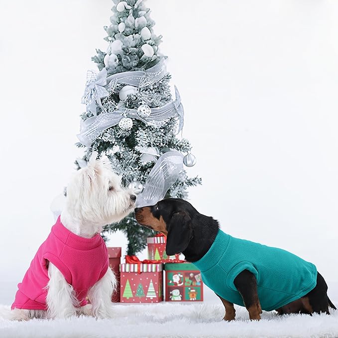 PUMYPOREITY Cat Sweater, Warm Kitten Clothes, Fleece Winter Coat for Hairless Cats, Soft Dog Fleece Vest, Cold Weather Pet Sweater for Dogs and Cats, Green, M