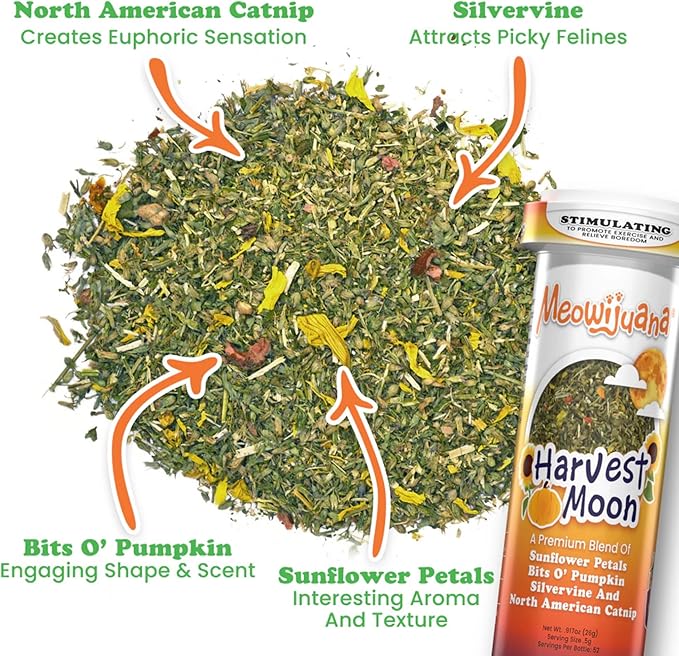 Meowijuana Get Spooked Bundle | Scarecrow Refillable Toy and Harvest Moon Blend | Promotes Play and Cat Health | Includes North American Organic Catnip