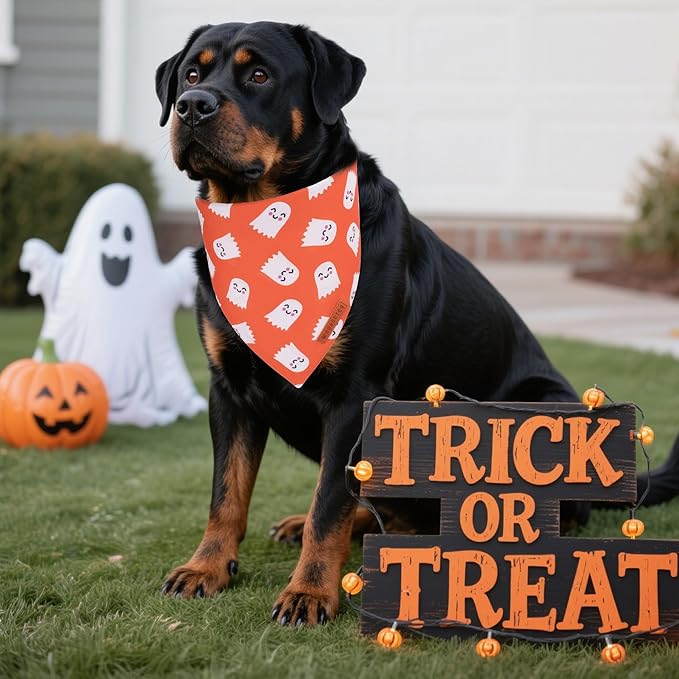 ADOGGYGO Halloween Dog Bandanas 2 Pack, Reversible Pumpkin Ghost Scarf, Premium Fabric, Adjustable Fit Orange Black Halloween Bandanas for Medium Large Dogs (Large)