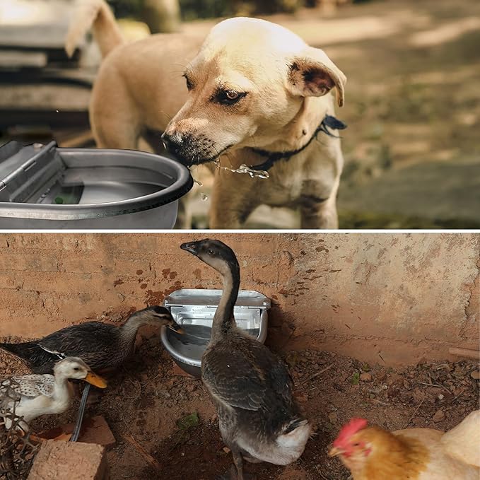 Automatic Dog Water Bowl Dispenser Large Size Pet Waterer Feeder Stainless-Steel Water Trough for Poultry and Small Livestock