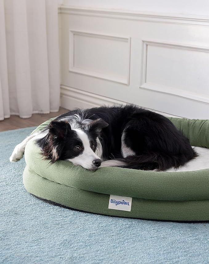 Orthopedic Dog Bed for Small Dogs, Pet Sofa Bed with Egg Crate Foam, 4-Sided Bolster, Removable Washable Cover & Anti-Slip Bottom, Small Calliste Green