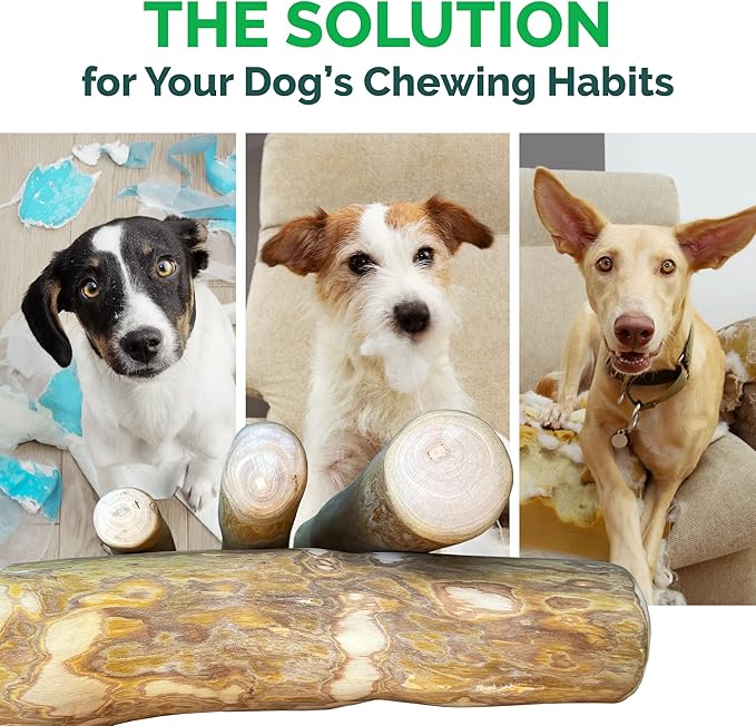 LuckyTail Wooden Stick - Coffee Tree Dog Chew Toy for Aggressive Chewers (Medium (2 Count))