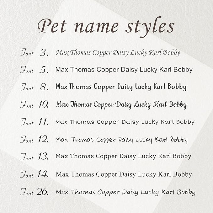 Anavia Slide On Silent Pet ID Tags, S/M/L/XL Personalized Black Stainless Steel Colored Silicone Cat Dog Name Tag, Customized Engraved Nameplate, Quiet Chew-Proof Pet Collar Tag (Black, X-Large)