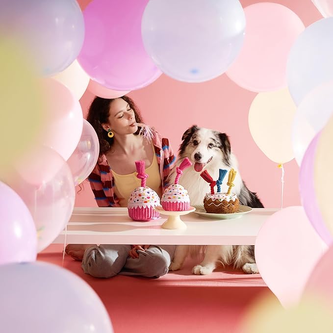 LE SURE Dog Birthday Cake Toy - Cute Dog Birthday Cake Squeaky Toy with Interactive Tug Rope, Interactive Chew Toy for Puppy Birthdays Party & Daily Play, XSmall, Pink