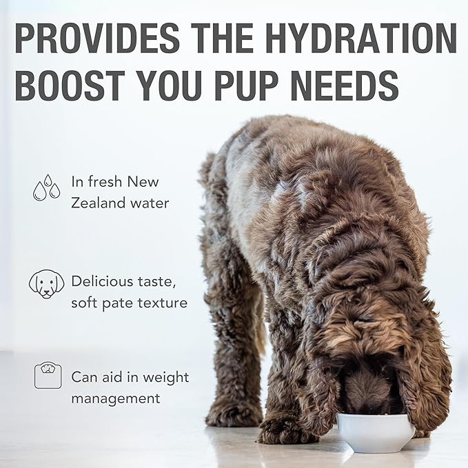 K9 Natural Wet Dog Food Pate Beef Feast - 6 oz Cans, Pack of 12 - Grain Free Canned Dog Food with Grass-Fed & Finished Beef - Single Source Limited Ingredient Diet - Made in New Zealand