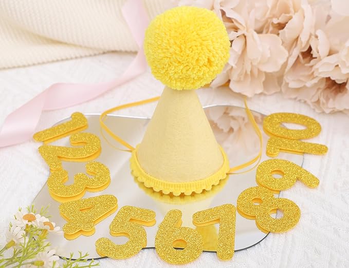 Pet Birthday Hat with Interchangeable Numbers 1-10 | Adjustable Pet Party Cone Hat for Dogs & Cats | Puppy Birthday Photo Props for 1st to 10th Birthday Celebrations (Yellow Birthday Pet Hat)