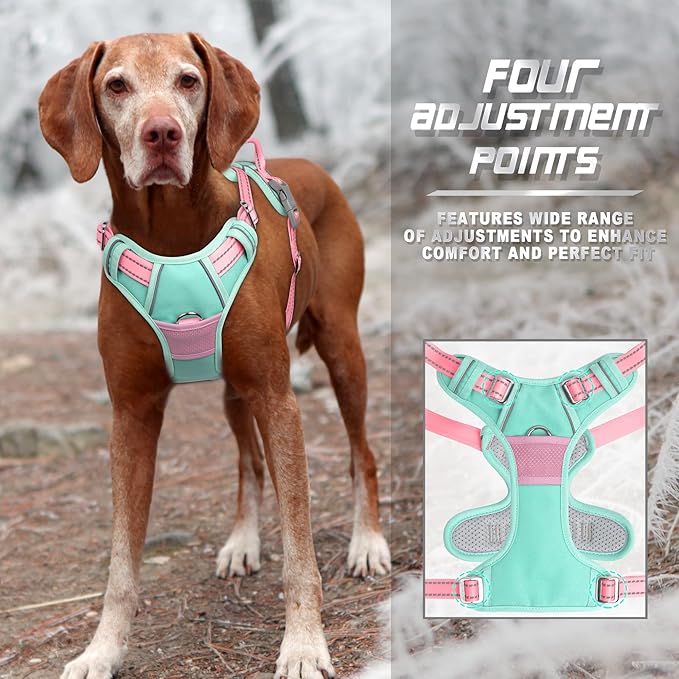 BARKBAY No Pull Dog Harness Front Clip Heavy Duty Reflective Easy Control Handle for Large Dog Walking(Cool Mint & Baby Pink,L)