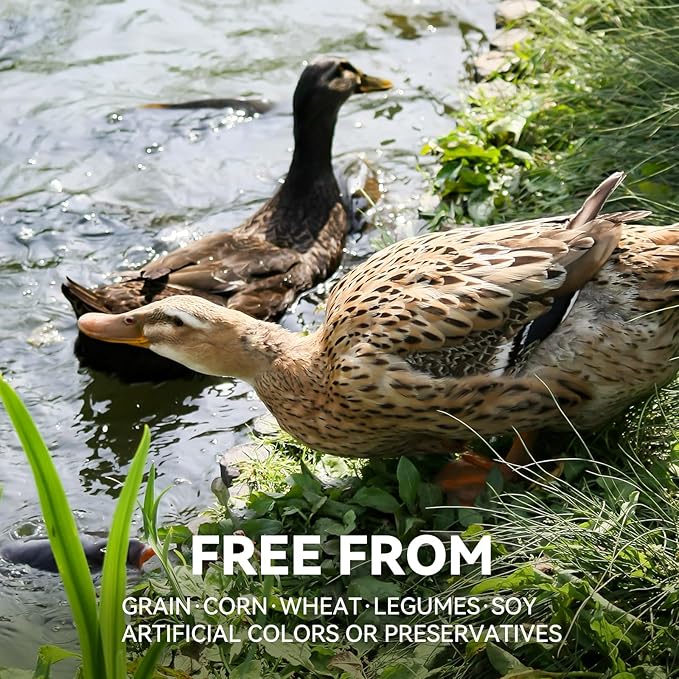 OPET Freeze Dried Duck Cat Treats, Single Ingredient Grain Free High Protein Pet Food for Cats and Dogs, Healthy Training Snacks，Freeze Dried Duck Breast Sliced Fillets (Duck Breast, 5.92 Ounce)