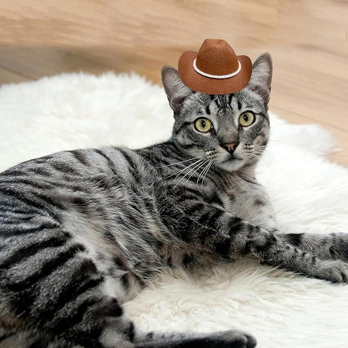 Dog Cowboy Hat Cat Cowboy Hat Pet Cowboy Costume Mini Cowboy Hat for Dogs Cat Holiday Halloween Pet Party Decoration (Brown-style3, Small)