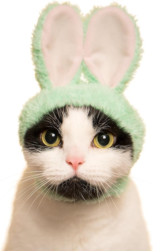 Kitan Club Cat Cap - Pet Hat Blind Box Includes 1 of 5 Cute Styles - Soft, Comfortable - Authentic Japanese Kawaii Design - Animal-Safe Materials, Premium Quality (Rabbit)