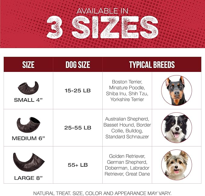 Water Buffalo Horn Dog Chew 4 Pack (Medium 6 Inch), Long-Lasting Natural Chews for Aggressive Chewers, Single-Ingredient, No Rawhide