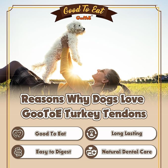 Gootoe Turkey Tendons for Dogs – All-Natural, Hypoallergenic Dog Treats, Rawhide Alternative, Long Lasting Puppy Chews, Healthy Dog Treats for Small Breeds, Bone (L), 16 oz Pack (1 lb)