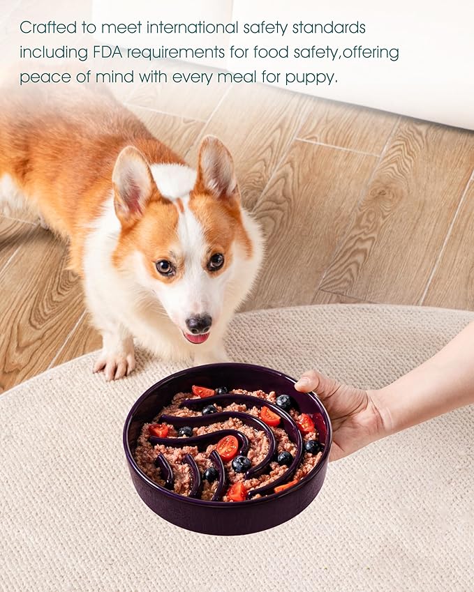 vancasso Slow Feeder Dog Bowl, 1.5 Cup Ceramic Slow Feeding Food Dish for Small and Medium Breed, Puzzle Dog Food Bowl for Fast Eater, Dark Purple