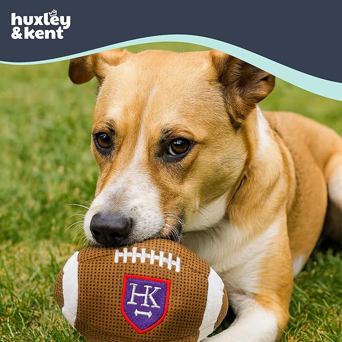 Huxley & Kent Funny Dog Toy w/Squeaker – Power Plush Squeaky Dog Toys for Small, Medium & Large Dogs – Soft Stuffed Animal for Indoor Play & Fetch - HK Football, Small