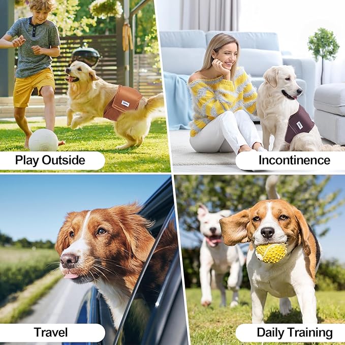 Washable Male Dog Diapers Reusable, Premium Belly Bands for Male Dogs, Pack of 3, High Absorbing Extra Extra Large Male Dog Pee Wraps for Puppy in Incontinence or Excitable Urination and Training(XXL)