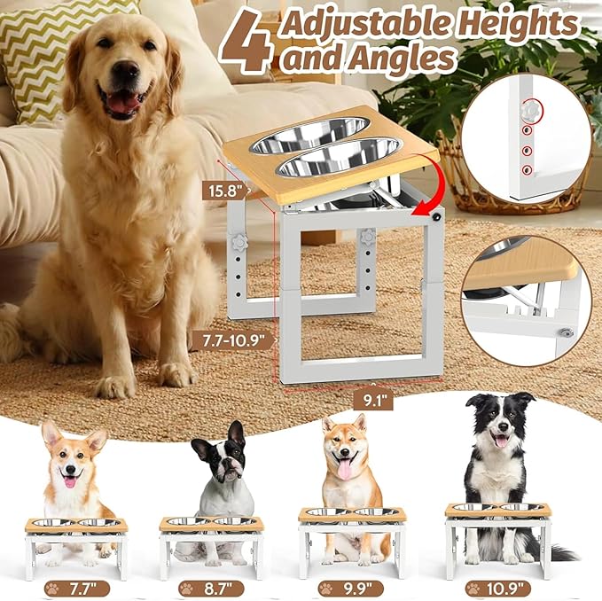 Dog Bowls Elevated, 4 Height & Angle Adjustable Raised Dog Bowl Stand, Elevated Dogs Bowl Stand For Medium Sized Pet, Sturdy Bamboo Dogs Feeding Station With 2x 48oz(6cup) Stainless Steel Dishes,White