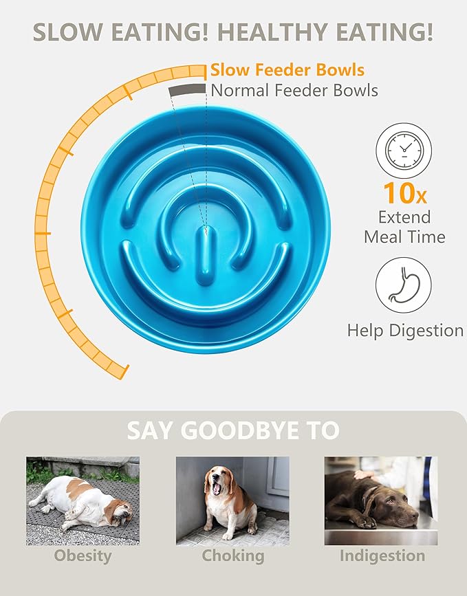 Ceramic Slow Feeder Dog Bowls, 0.6 Cup Slow Feeder for Small Dogs and Cats, Puzzle Maze Bowl, Prevents Choking, 6in, Blue