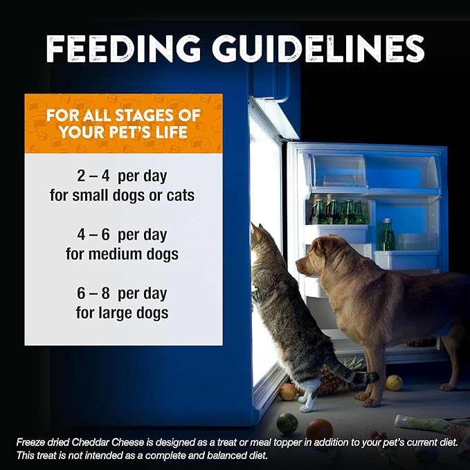 Northwest Naturals Raw Rewards Freeze-Dried Cheddar Cheese Treats for Dogs and Cats - Bite-Sized Pieces - Healthy, 1 Ingredient, Human Grade Pet Ingredients, All Natural, Proudly Made in USA, 6 Oz