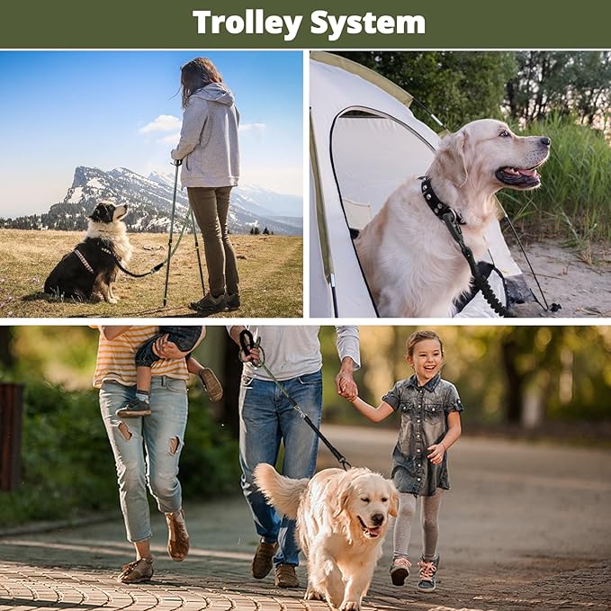 jenico Long Dog Leash 10FT: Heavy Duty Nylon Rope Leashes for Dogs Training with Reflective Threads Bungee and Padded Handle - Dog Lead for Large Small Medium Dogs Outside Walking Hiking