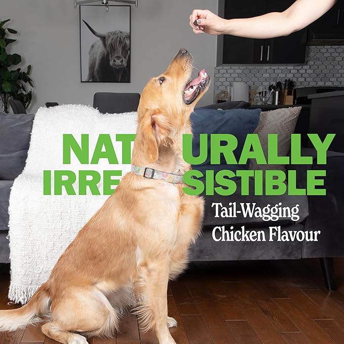 Deley Naturals Dog Probiotic Chews - Dogs Probiotic for Digestive Health with 4 Billion CFUs & Digestive Enzymes - Anti Diarrhea for Dogs - Dog Gut Health Probiotics for Allergies - Made in The USA