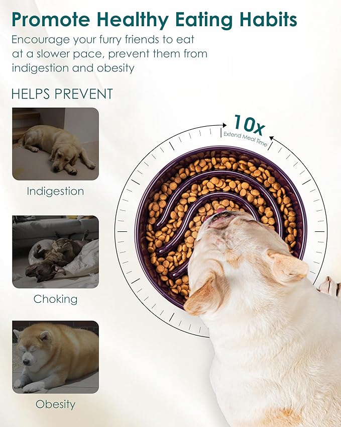 vancasso Slow Feeder Dog Bowl, 0.6 Cup Ceramic Slow Feeding Food Dish for Small Breed, Puzzle Dog Food Bowl for Fast Eater, Dark Purple