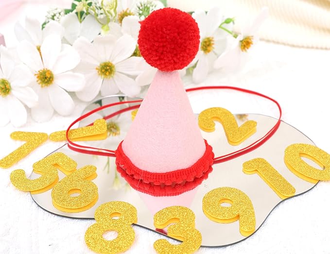 Pet Birthday Hat with Interchangeable Numbers 1-10 | Adjustable Pet Party Cone Hat for Dogs & Cats | Puppy Birthday Photo Props for 1st to 10th Birthday Celebrations (Red Pink Birtgday Pet Hat)