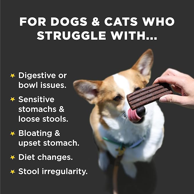 Diggin' Your Dog Firm Up Bars for Dogs & Cats, 100% Made in USA, Pumpkin Powder Bars for Dogs, Digestive Support, Apple Pectin, Fiber, Healthy Stool, 6 Count