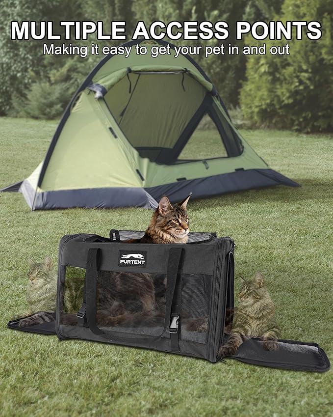 Soft-Sided Large Cat Carrier for 2 Cats, Spacious Foldable Pet Travel Carrier for Large Cats up to 25 Lbs, Double Cat Bag with Shoulder Strap, 20x13x13 Inch, Fits Maine Coon and Small Dogs, Black