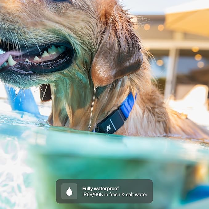 New Fi Series 3+ Smart Dog Collar - GPS Dog Tracker and Activity & New Fitness Monitor, Waterproof, LED Light, Escape Alerts, Nationwide Coverage [Free 6 Month Membership] (Blue, Medium)