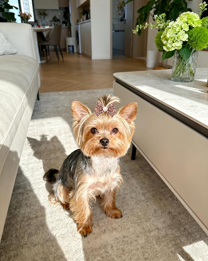 PET SHOW 20 Pack Leopard Dog Hair Bows with Alligator Clips for Small Medium Dogs Cheetah Bowknot Hair Clips Cat Puppy Yorkshire Rhinestone Grooming Hair Accessories for Birthday Party