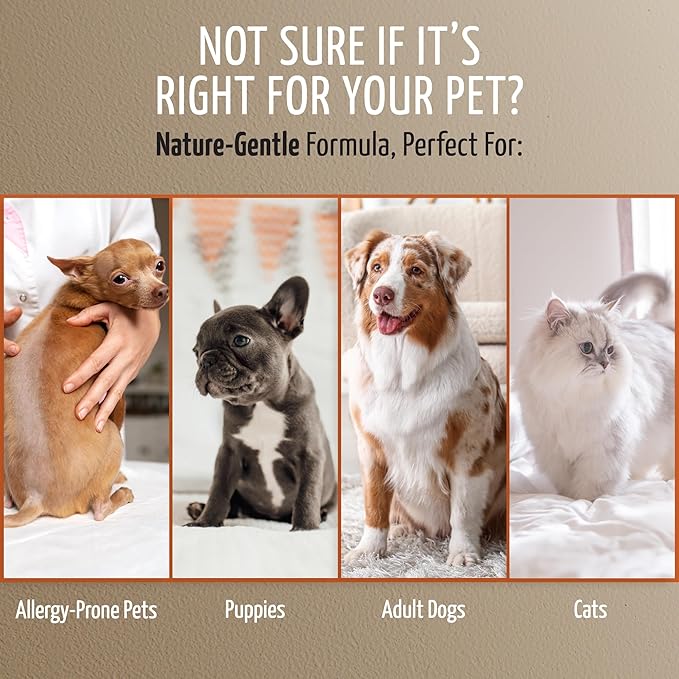 Tauro Pro Line Dog Conditioner Spray for Itchy Skin - Soothes Dry, Sensitive Skin, Calms Itching from Allergies, Dandruff - Leave in Pet Conditioner for Dogs, Cat & Puppy (Derma Care 8.5 Fl Oz)