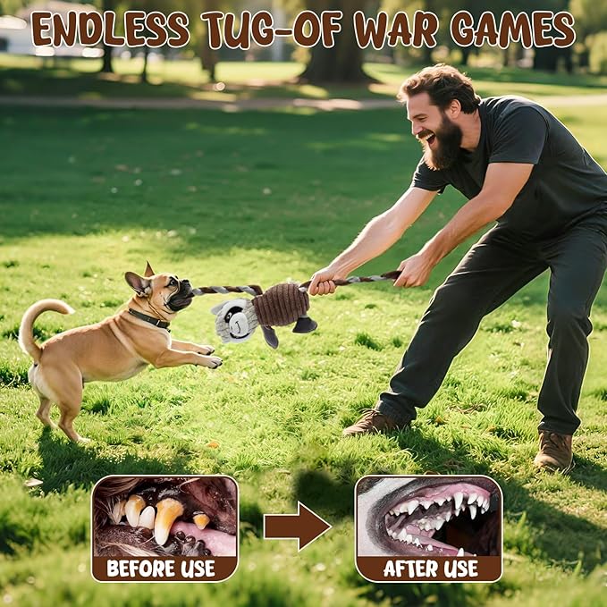 Squeaky Dog Toys, Tug of War Plush Toys with 5 Squeakers, Stuffed Dog Toys to Keep Them Busy, Chew Toys with Crinkle Paper for Small & Large Breeds (Raccoon)