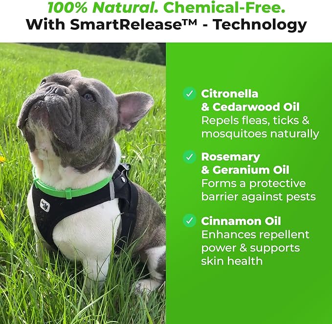 FurLife Flea and Tick Collar for Dogs – Waterproof Pink Dog Collar, Pet Supplies for Tick and Flea Prevention for Dogs, Safe for All Breeds