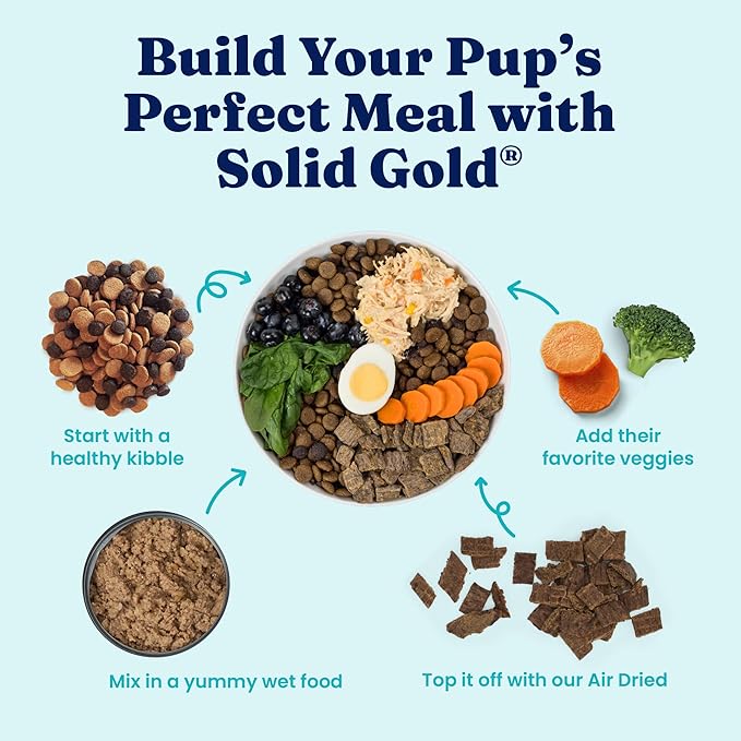 Solid Gold Canned Dog Food for Adult & Senior Dogs - High Protein Wet Dog Food w/Real Lamb, Whole Grains & Probiotics for Gut Health & Immunity - Small, Medium & Large Breed Dogs - 6ct 12.5oz Cans