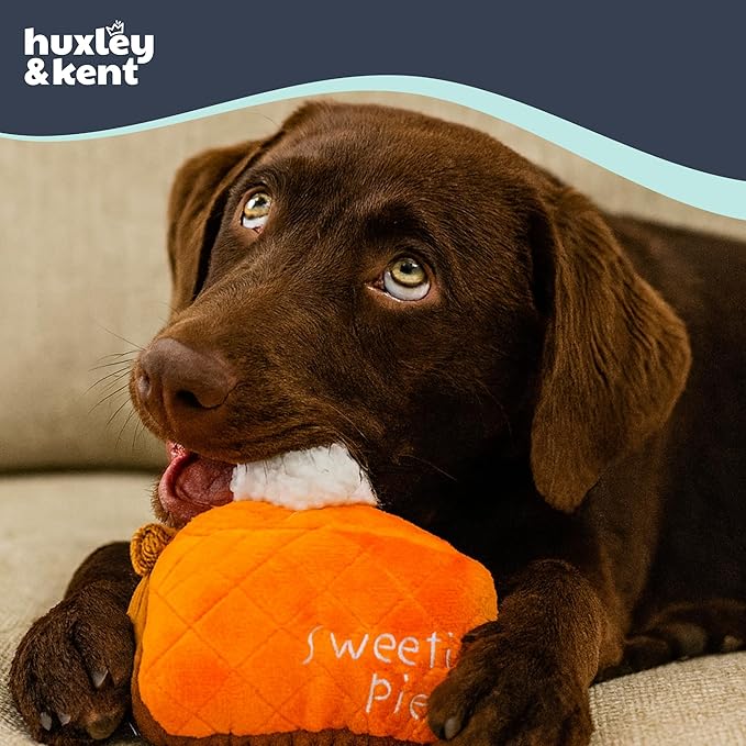 Huxley & Kent Funny Dog Toy w/Squeaker – Fall Power Plush Squeaky Dog Toys for Small, Medium & Large Dogs – Soft Stuffed Animal for Indoor Play & Fetch - Punkin Pie, Small